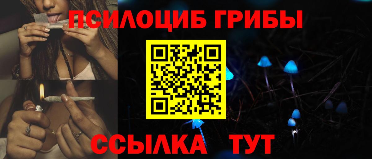 Псилоцибиновые грибы Psilocybe Ногинск